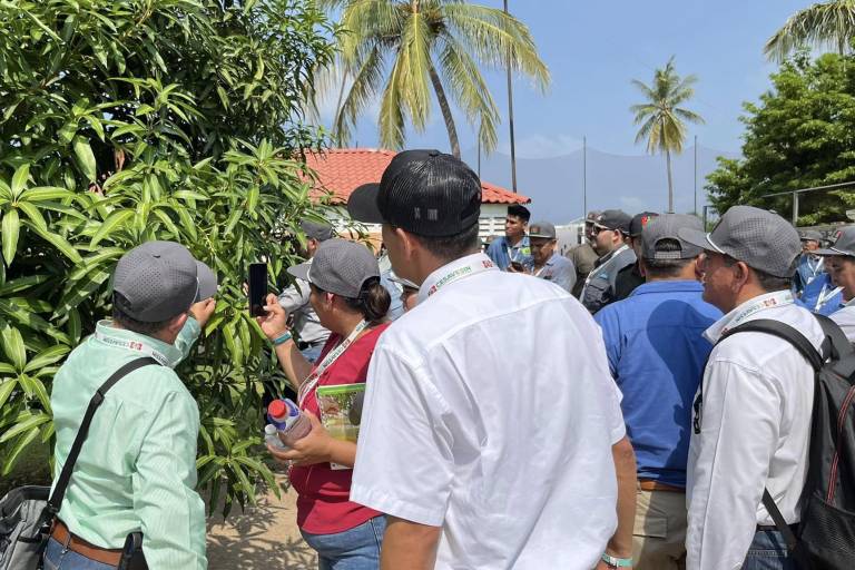 Se reunirán en Mazatlán expertos para transformar la producción de alimentos en México