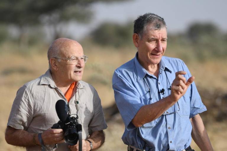 Proyectarán ciclo de cine de Volker Schlondorff en la Sala Lumière