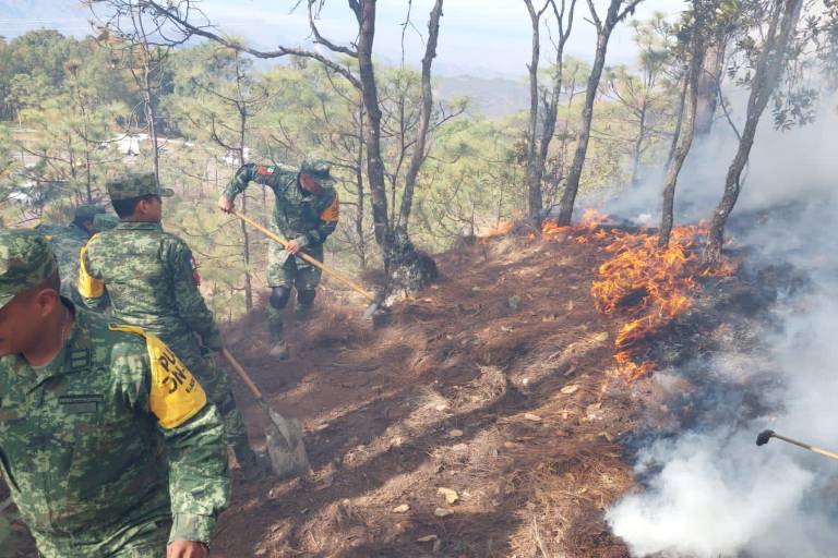 Arrasa incendio con más de 100 hectáreas en la sierra de Concordia