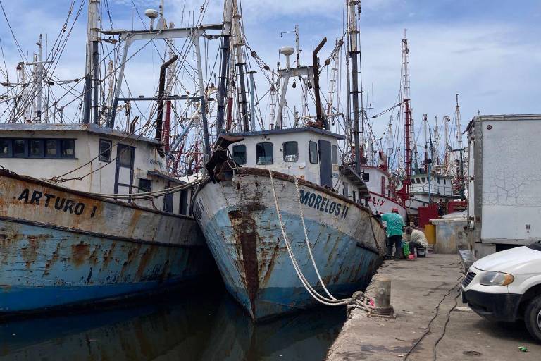 Publican fin escalonado de la veda del camarón en el Pacífico y Golfo de California