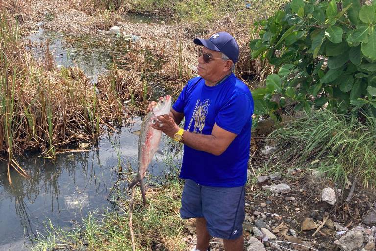 Detectan nuevo caso de mortandad de peces en la Laguna del Camarón