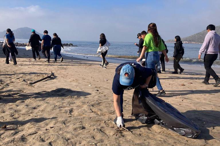 Lideran jóvenes de Coparmex jornada de limpieza de playas en Mazatlán