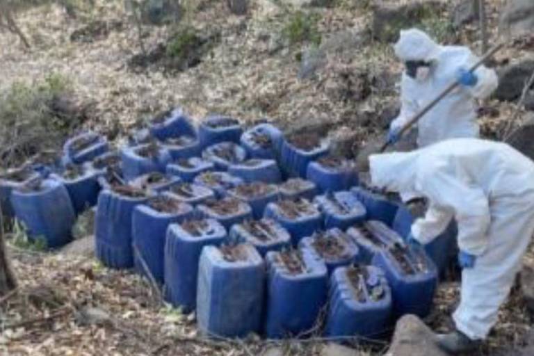 Aseguramientos de laboratorios de drogas en Sinaloa generan al crimen afectaciones por $1,896 millones