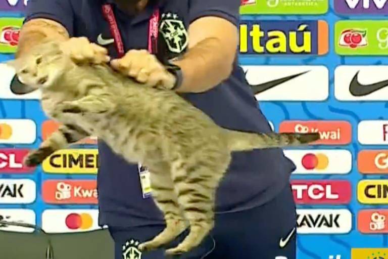La Confederación Brasileña de Futbol fue demandada por lanzar a un gato al piso
