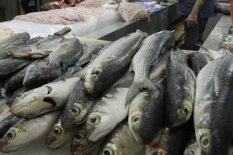 Se ha encontrado pescado con microplásticos; es preocupante, pero no representa riesgo en su consumo: Coepriss