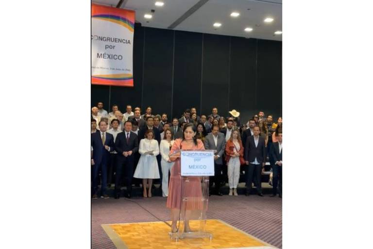 Diva Hadamira anuncia su renuncia al PRI