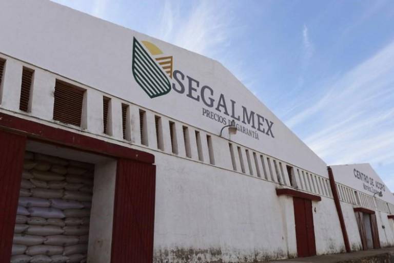 Caso de corrupción en Segalmex: Gobierno reconoce daño patrimonial de $2,700 millones; hay 26 personas vinculadas a proceso