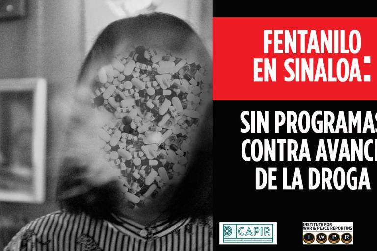 Fentanilo en Sinaloa: sin programas contra avance de la droga