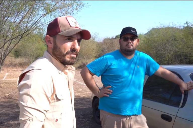 Reportan un puma merodeando El Barrio y La Divisa, en Culiacán; lo han buscado, pero sin éxito