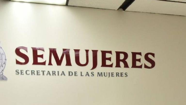 El apoyo consiste en una dispersión económica al mes equivalente de 4 mil durante seis meses.