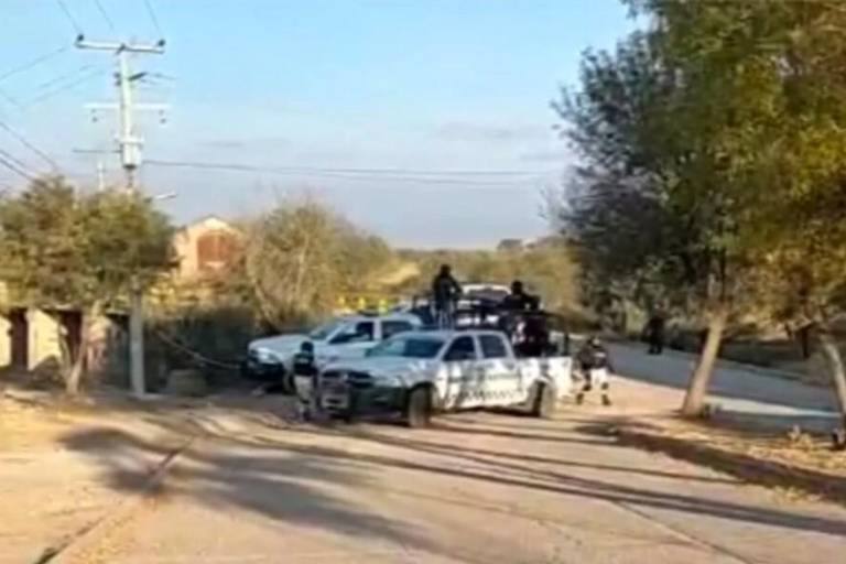 Hallan ocho cuerpos colgados en árboles y puentes de Zacatecas