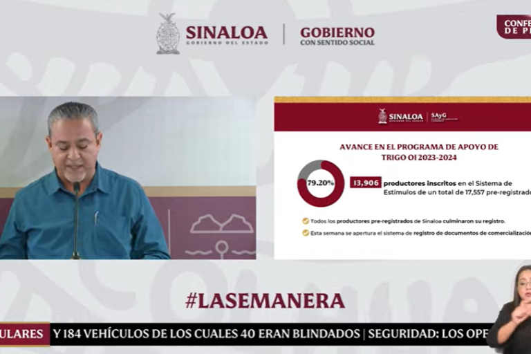Esta semana inician los pagos de compensación para el trigo, informa Secretaría de Agricultura