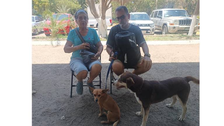 Ciudadanos llevan a esterilizar a las mascotas.