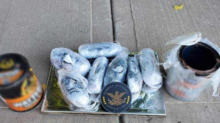 La droga asegurada por binomios caninos de la Guardia Nacional.