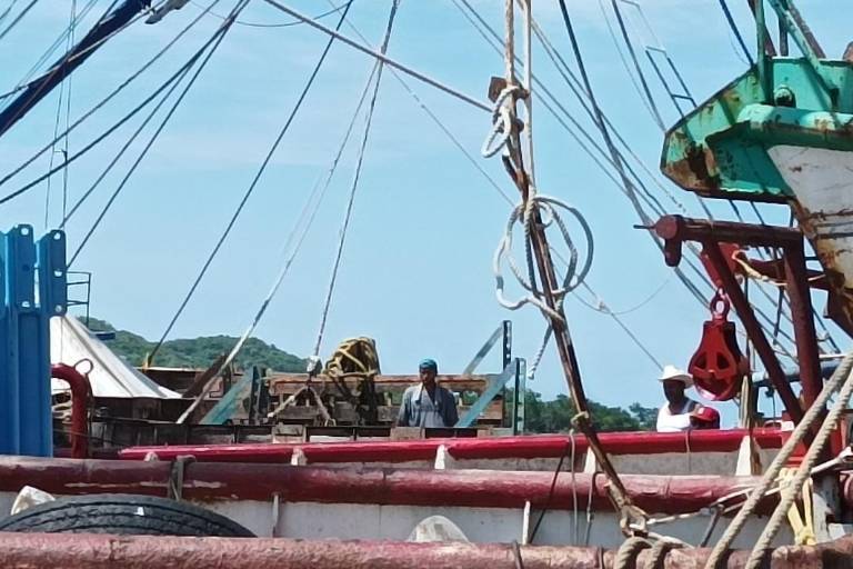 Ven cada vez más escasas las temporadas de camarón en Mazatlán