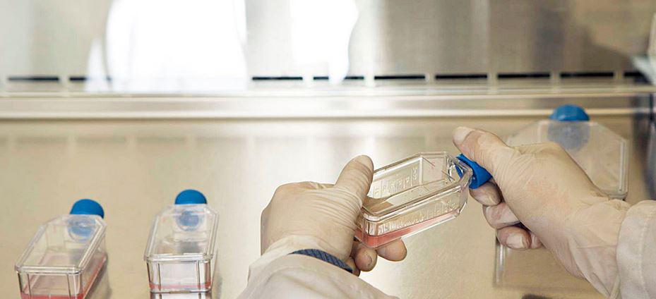 $!Un técnico de laboratorio cultiva virus y bacterias en el Instituto del Cáncer de Colombia.