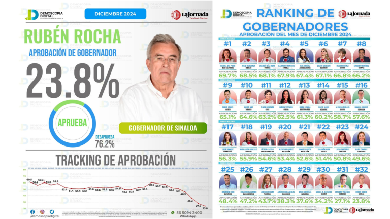 Encuesta de Demoscopia Digital publicada este mes de enero.