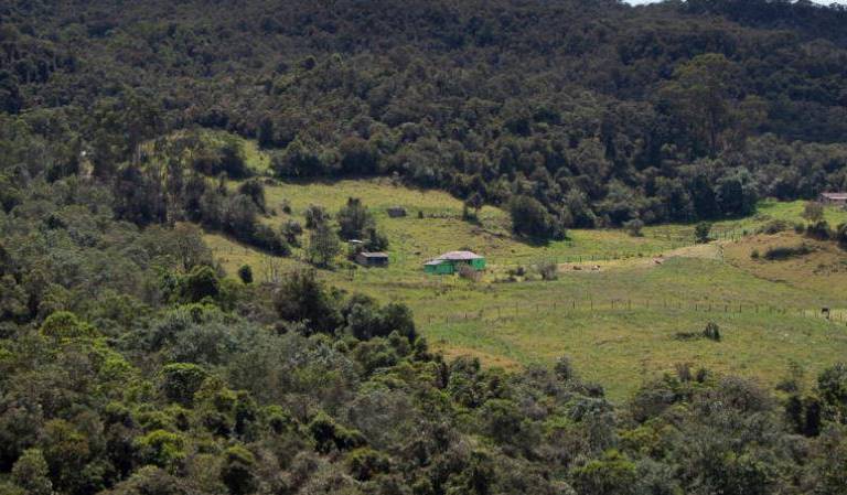 Bosques Tropicales: cada día es más urgente su conservación