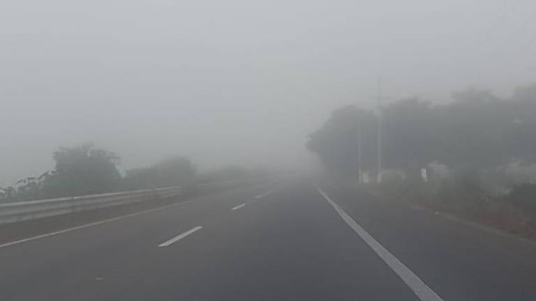 Debido a la neblina la visibilidad es reducida a una distancia de 10 metros.
