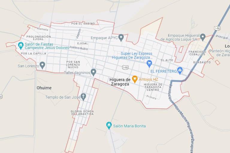 Muere adulto mayor tras ser atacado por enjambre de abejas en Ahome