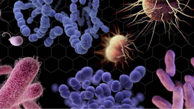 La escasez de nuevos tratamientos para enfermedades graves ha dejado a las personas peligrosamente expuestas a las bacterias más peligrosas del mundo.