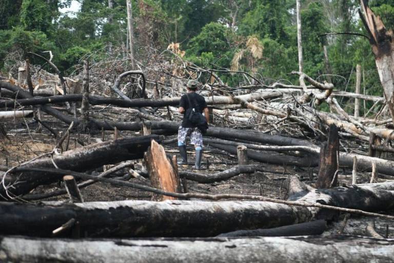 La violencia golpea a la ciencia: expertos son amenazados por revelar impactos a la biodiversidad