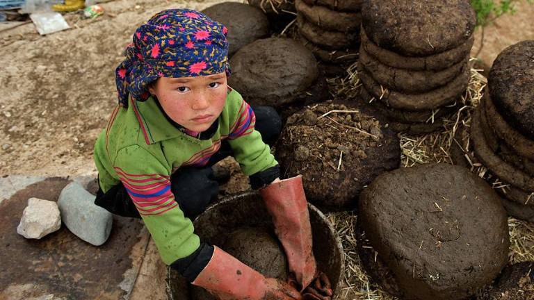 Una niña de once años hace montones de pasteles con estiércol de ganado y paja frente a su casa en la provincia central de Bamyan, Afganistán.