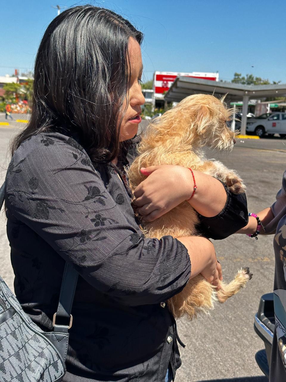 $!Encuentran a familia de perrito rescatado por Protección Civil Culiacán