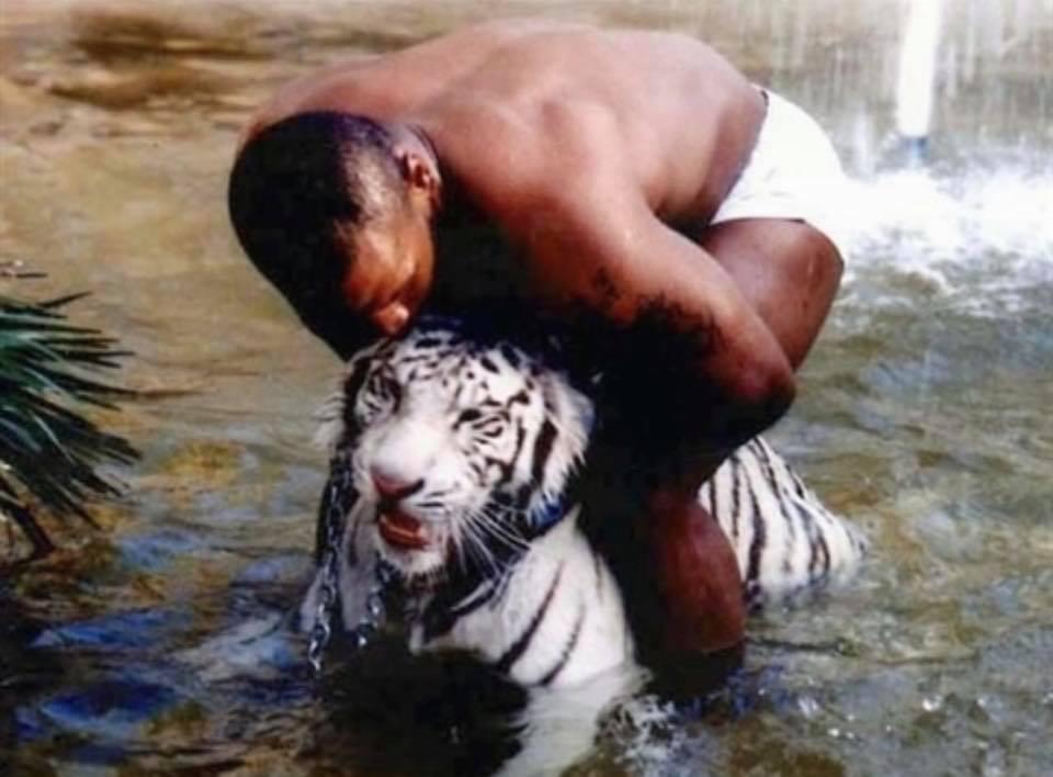 $!Por tener mascotas exóticas, varios famosos han sido criticados