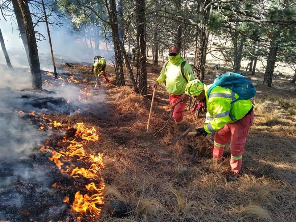 $!Por incendios en Coahuila y Nuevo León, hay 450 afectados
