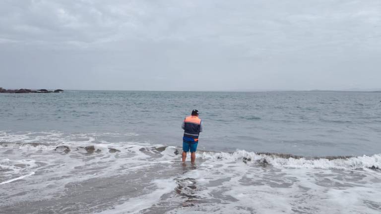 Las playas de Sinaloa están en condiciones de disfrutarlas durante las vacaciones de verano.