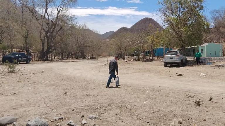 En la comunidad El Nacimiento, en la sierra de Choix, tienen dos años sin lluvias.