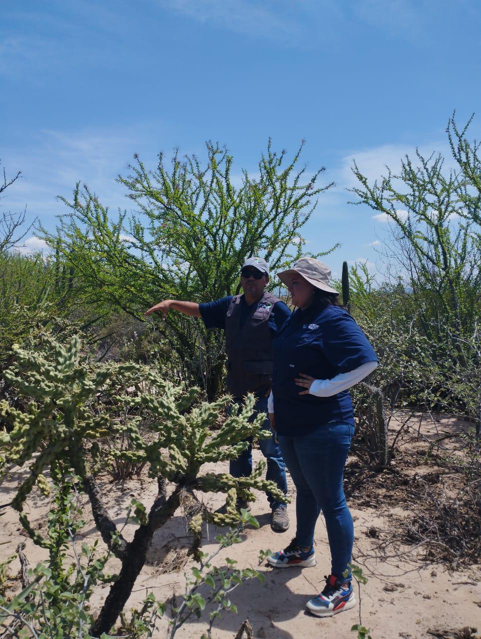 $!Hacen alianza SUCEDE y PRONATURA para preservar riqueza natural de La Reforma
