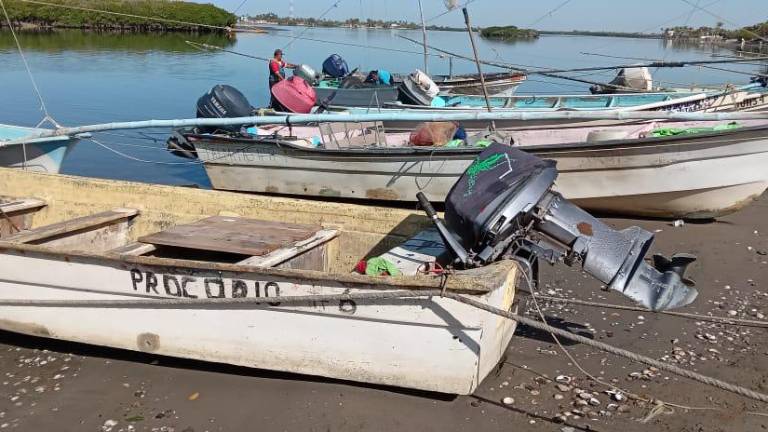 Las granjas acuícolas en el estado están perdiendo control sanitario, denuncian.