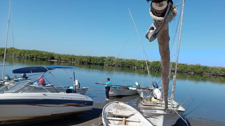 Pescadores reportan baja producción en jaiba, tiburón y mantarraya.