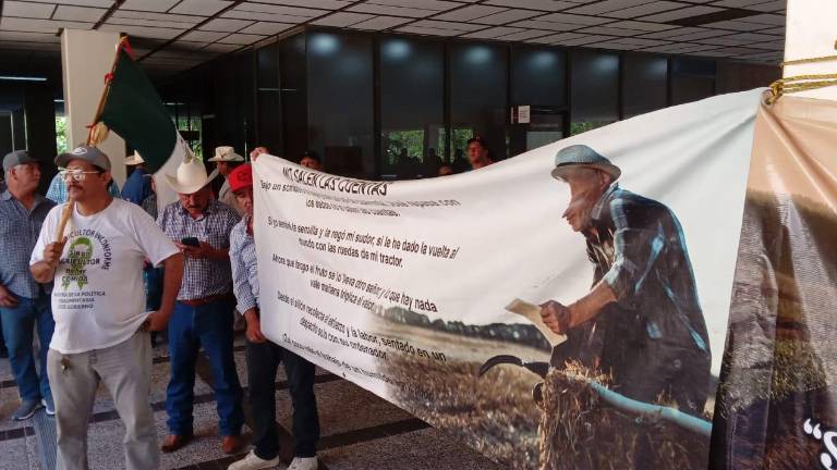 Para la cobertura de este esquema de comercialización queda un adeudo de 101 millones de pesos, para más de 400 productores de maíz, de acuerdo con cifras del Gobierno de México.