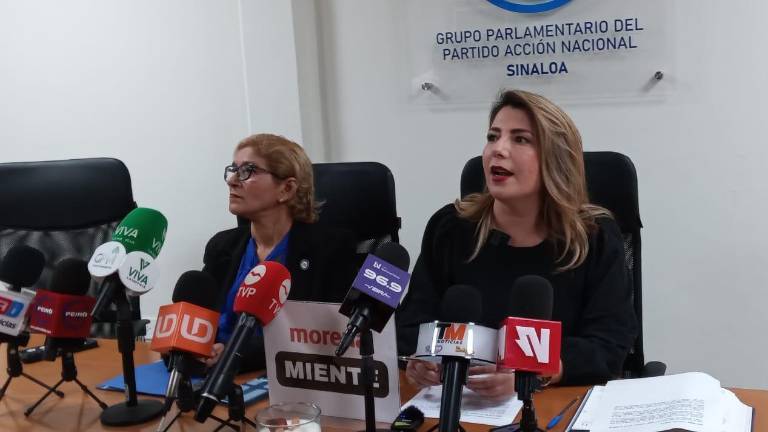 La Diputada local Roxana Rubio Valdez, del PAN, pide al Secretario de Seguridad en Sinaloa que informe sobre los resultados de las acciones emprendidas en la entidad.