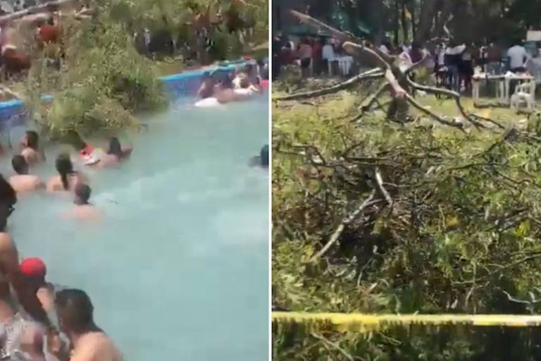 Árbol cae en balneario en Guanajuato; reportan muerte de un bebé