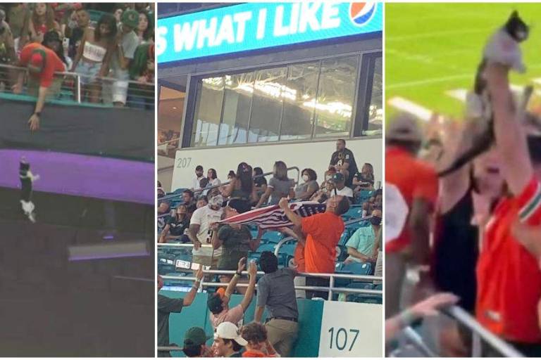 VIDEO: Un gatito pone a temblar a un estadio entero en EU. Lo salvan
