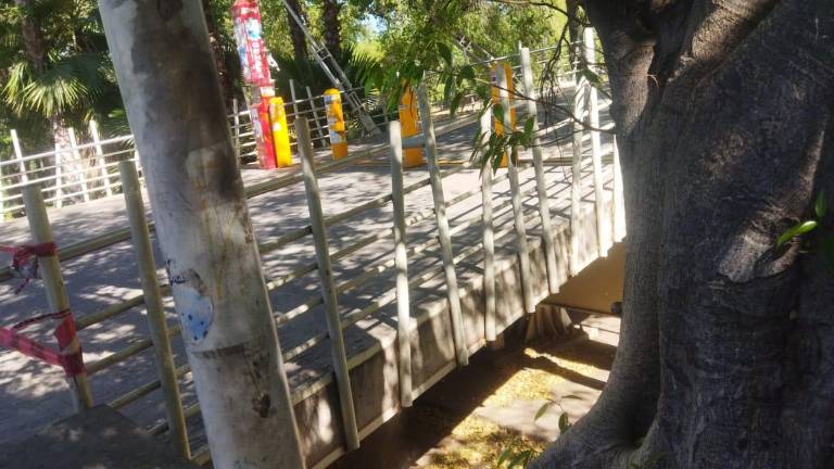 El titular de PC de Culiacán recomendó a la ciudadanía llamar al número de emergencias en caso de encontrar un enjambre.