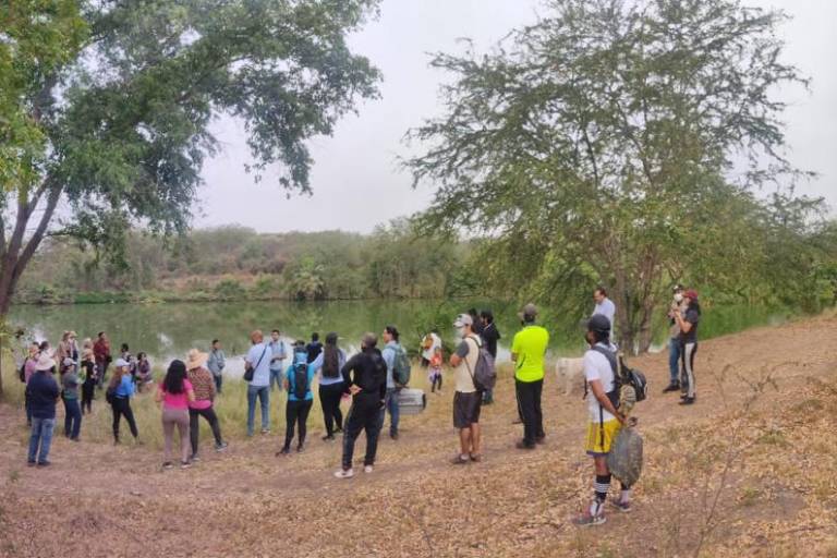 Sinaloa destaca en el Reto Naturalista 2022; Mazatlán y Culiacán, en primeros lugares