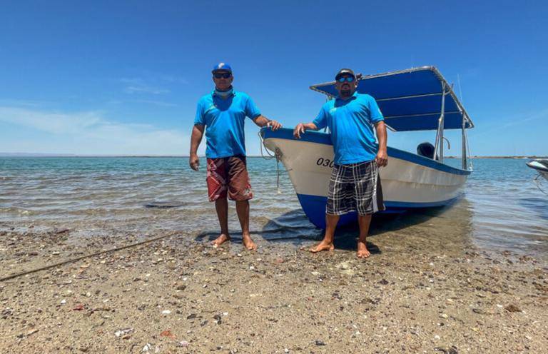 Pescadores de Baja California Sur salvan al callo de hacha del colapso