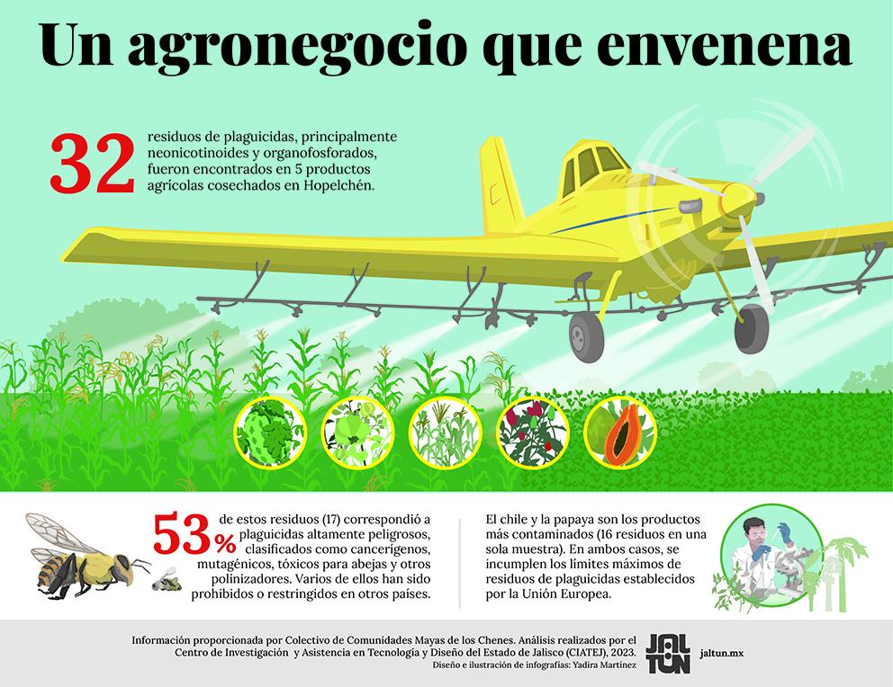 $!Agroindustria y resistencia de las abejas en Los Chenes