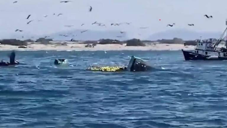 El barco atunero de Sonora se hundió en aguas del campo pesquero Las Lajitas, en las costas de Ahome.